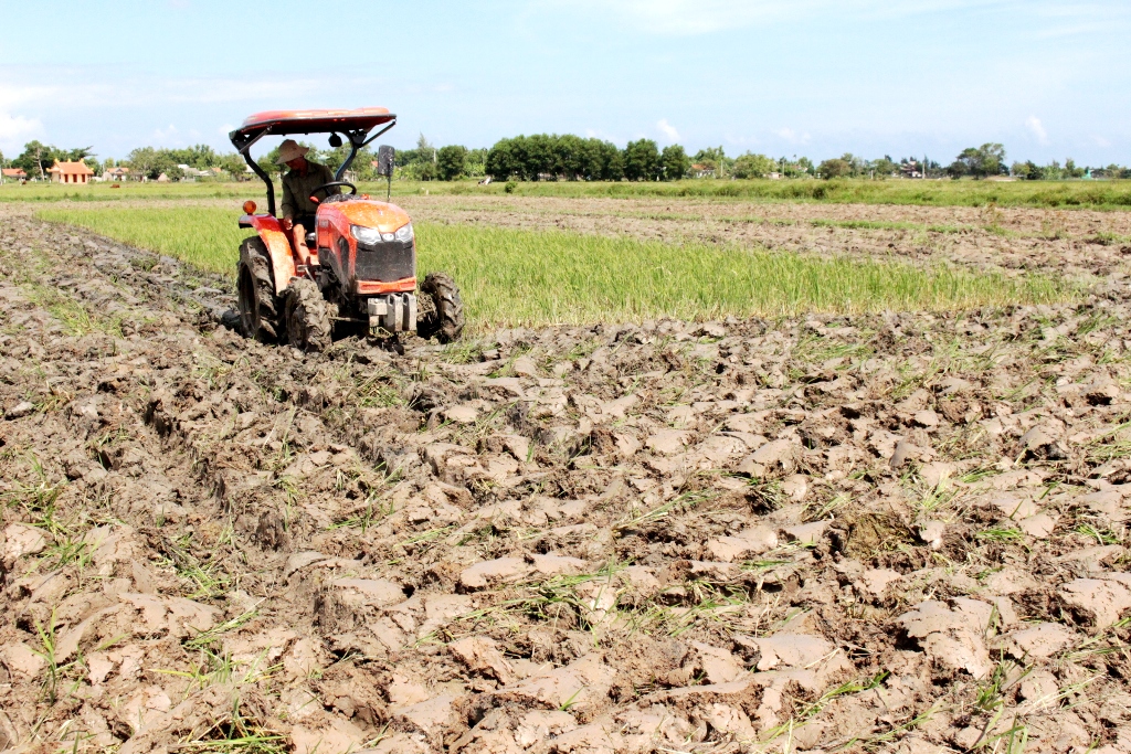 Tây Tiền Hải khẩn trương làm đất, chuẩn bị các điều kiện sản xuất vụ mùa năm 2026