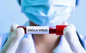 Tây Tiền Hải tăng cường giám sát, chủ động phòng chống dịch bệnh do vi rút Ebola
