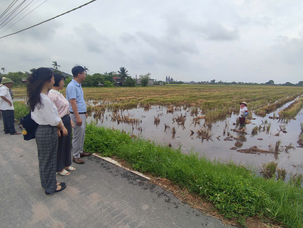 Tây Tiền Hải tổ chức tập huấn nghiên cứu giảm thiểu đốt rơm rạ trong sản xuất lúa gạo