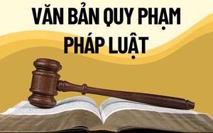 Tây Tiền Hải triển khai tổng rà soát hệ thống văn bản quy phạm pháp luật, đẩy mạnh ứng dụng AI trong quản lý pháp lý