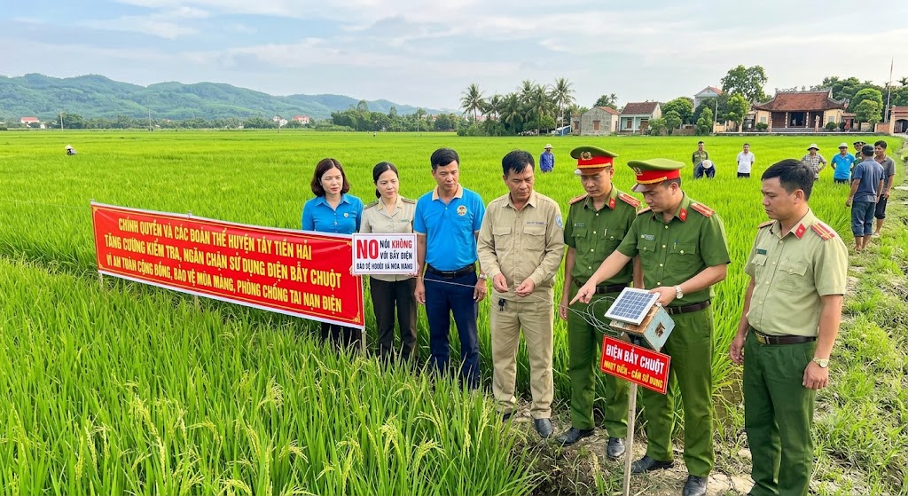 Tây Tiền Hải tăng cường kiểm tra, ngăn chặn sử dụng điện bẫy chuột