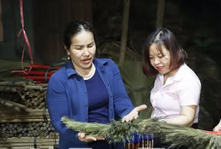 Hội Nông dân xã Tây Tiền Hải hỗ trợ hội viên phát triển sản xuất
